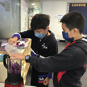 Camp Asia Elite Sports coach